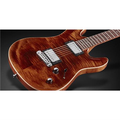 FRAMUS TeamBuilt Diablo Supreme Antique Tobacco Transparent High Polish